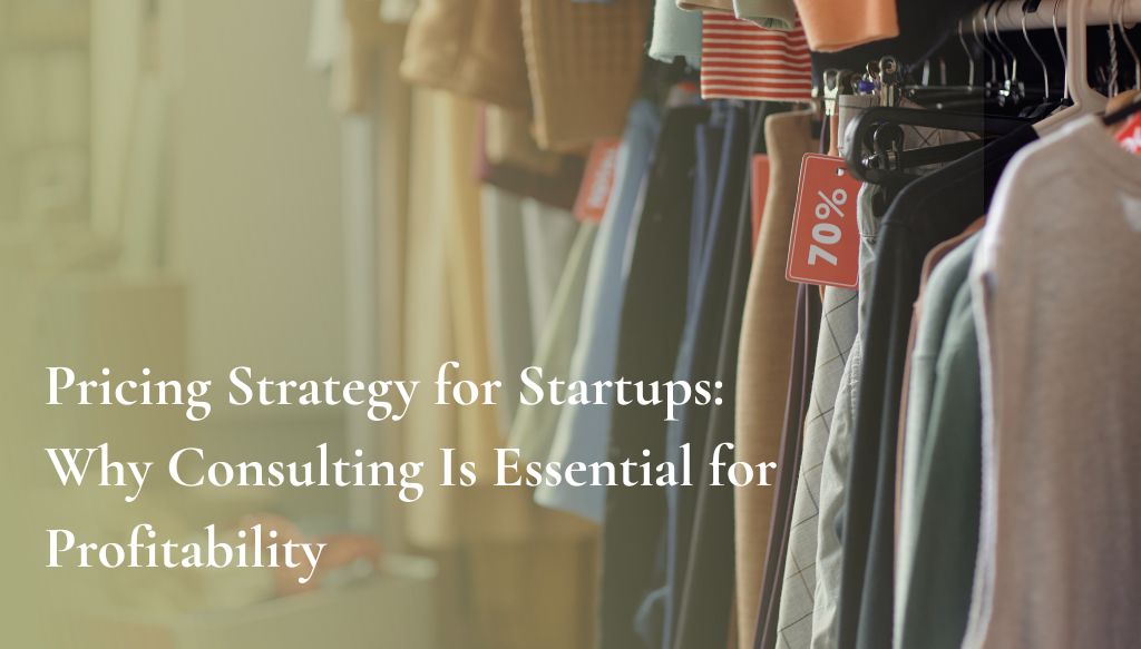 Pricing Strategy for Startups Why Consulting Is Essential for Profitability